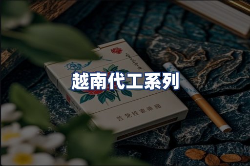 越南代工系列